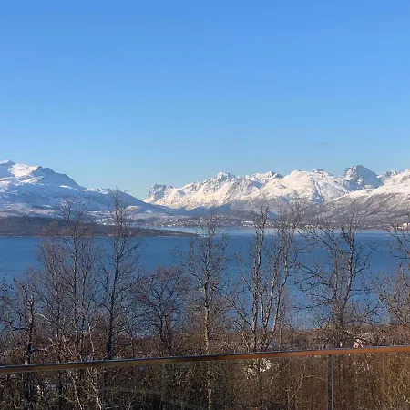 Enter Luxury Tromso